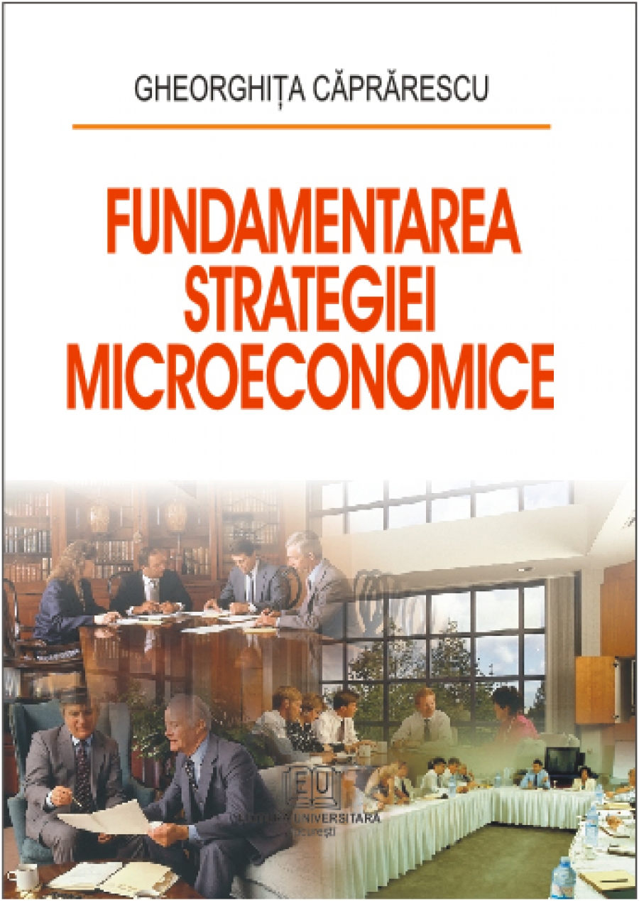 Fundamentarea strategiei microeconomice