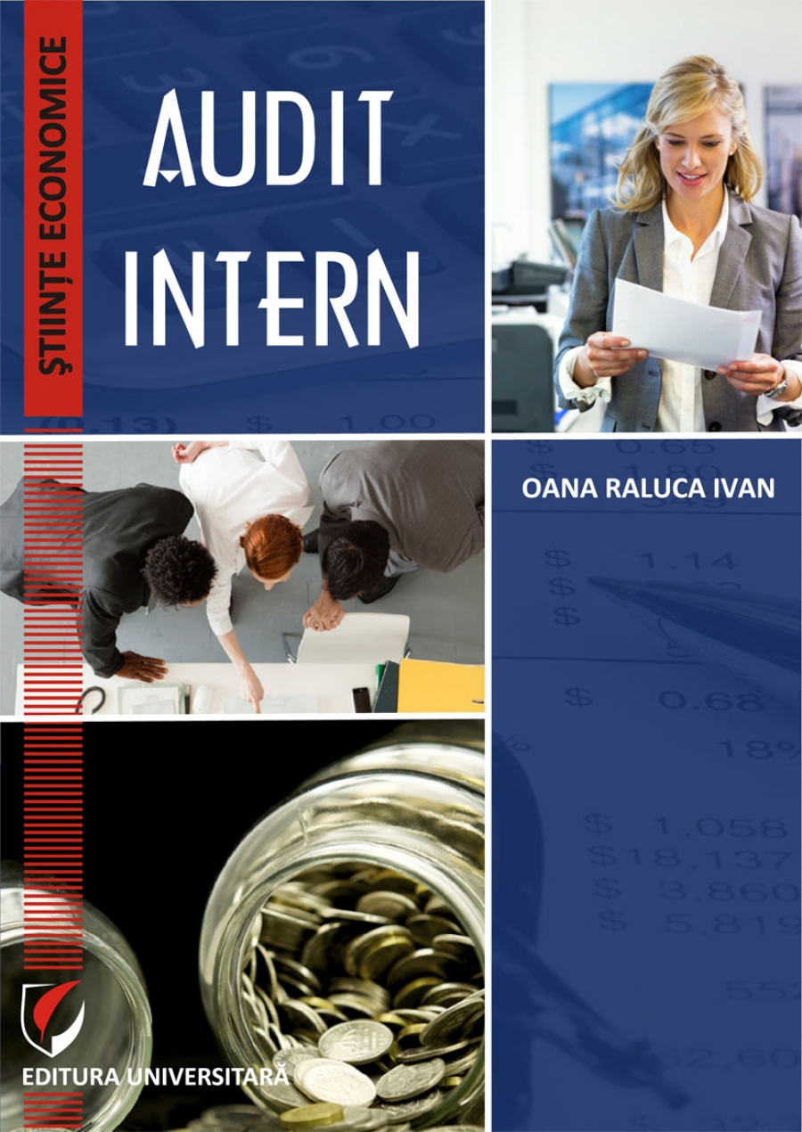 Audit intern