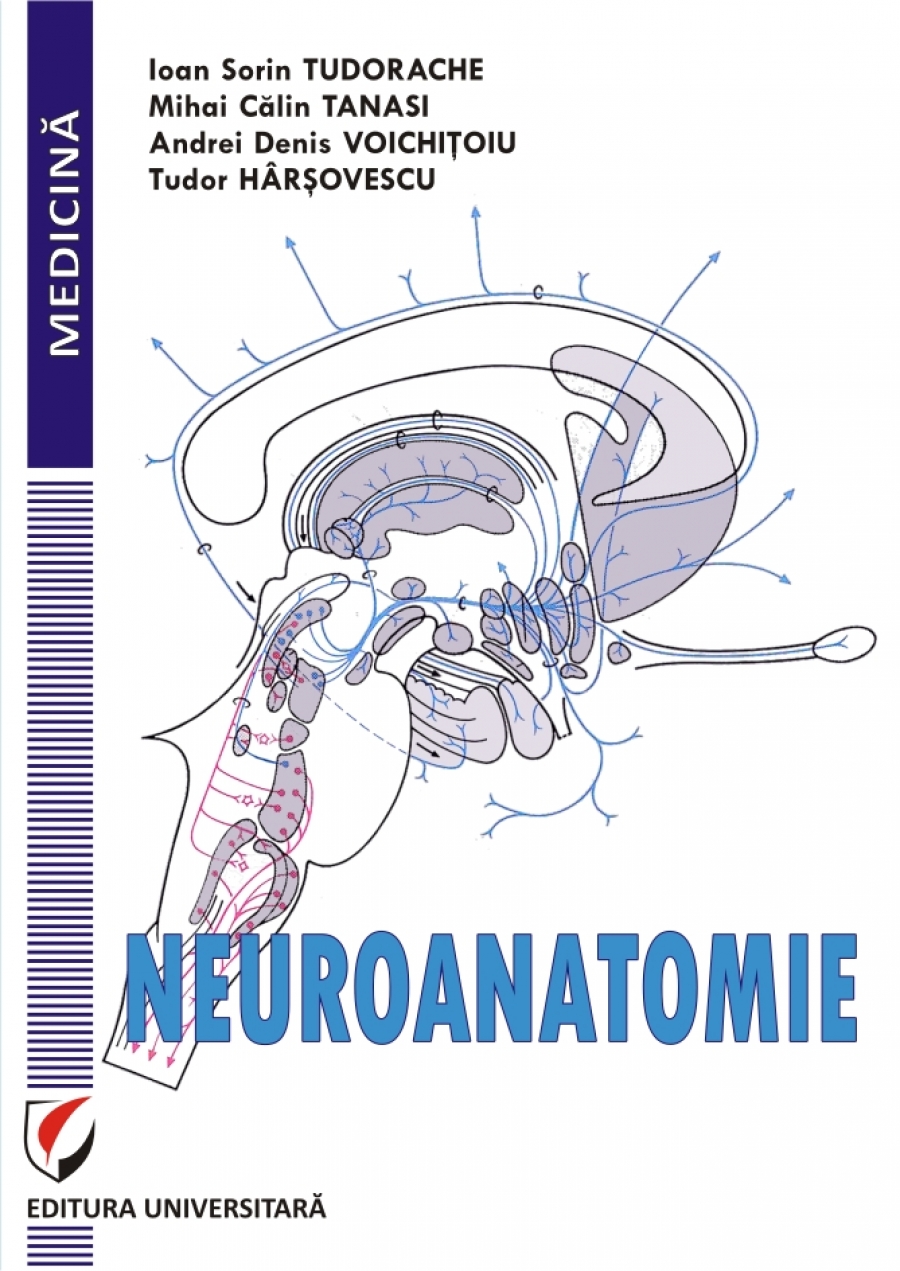 NEUROANATOMIE