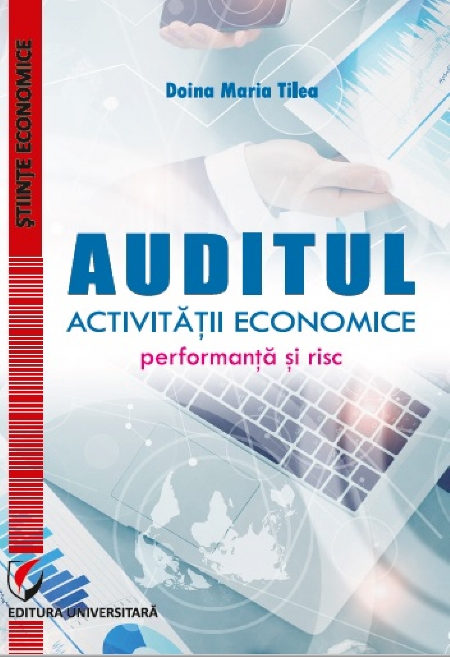 Auditul activitatii economice. Performanta si risc 